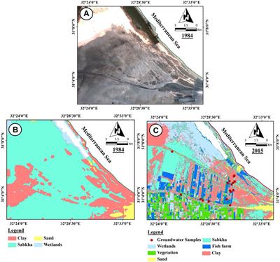Mapping the impacts of the anthropogenic activities and seawater intrusion on the shallow coastal aquifer of Port Said, Egypt